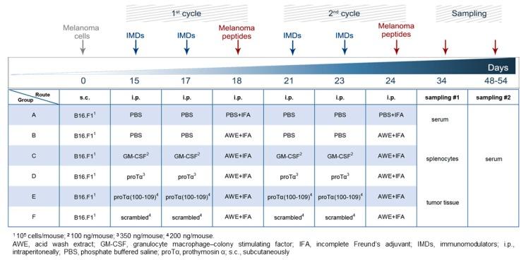 https://cdn.ncbi.nlm.nih.gov/pmc/blobs/c70a/6896021/2ad43941e154/cancers-11-01764-g001.jpg