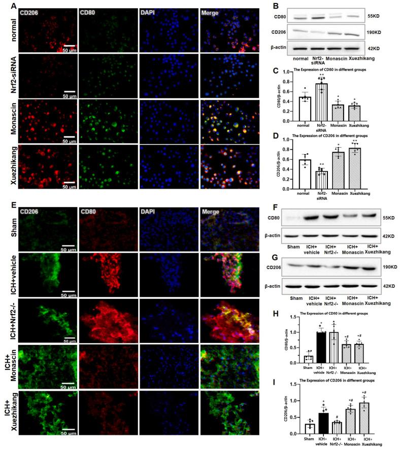 https://cdn.ncbi.nlm.nih.gov/pmc/blobs/c70a/9957781/4c0ed9b6e699/gr5.jpg
