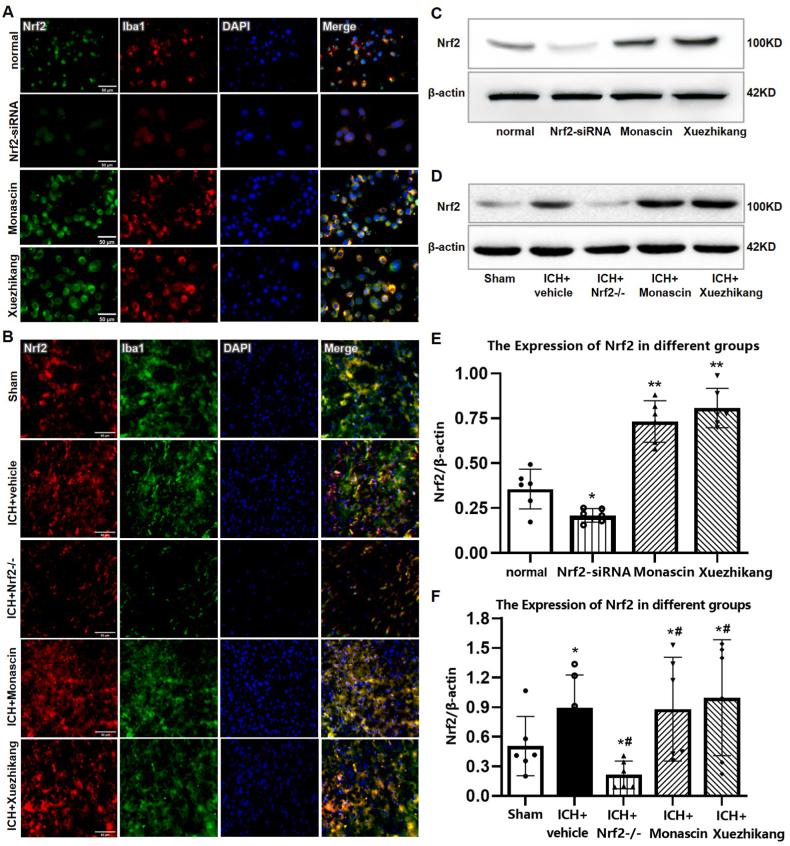 https://cdn.ncbi.nlm.nih.gov/pmc/blobs/c70a/9957781/77ab607a186c/gr1.jpg
