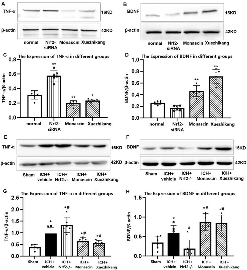 https://cdn.ncbi.nlm.nih.gov/pmc/blobs/c70a/9957781/ef5197f5108a/gr7.jpg