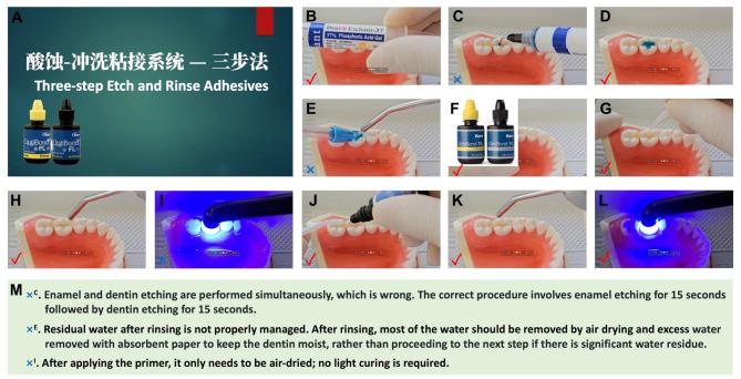 https://cdn.ncbi.nlm.nih.gov/pmc/blobs/c70b/12057003/fb300472a73e/12909_2025_7261_Fig2_HTML.jpg