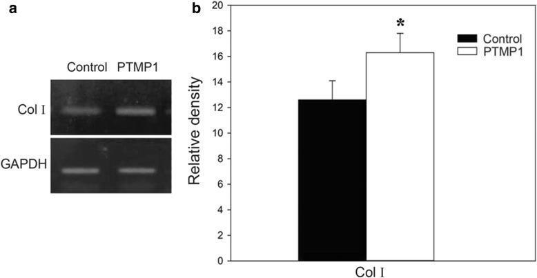 https://cdn.ncbi.nlm.nih.gov/pmc/blobs/c710/4754843/091f1940dfb5/12896_2016_247_Fig3_HTML.jpg