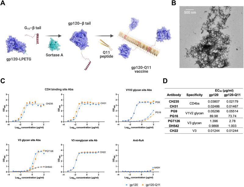 https://cdn.ncbi.nlm.nih.gov/pmc/blobs/c710/9506727/f773ee30e81b/sciadv.abq0273-f1.jpg