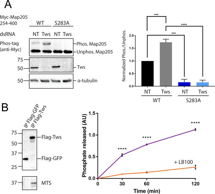 https://cdn.ncbi.nlm.nih.gov/pmc/blobs/c711/11682627/58a8b90ca7b6/13008_2024_141_Fig2_HTML.jpg