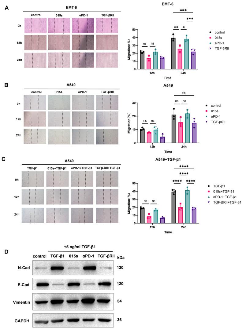 https://cdn.ncbi.nlm.nih.gov/pmc/blobs/c711/12347602/43c2eaec7db5/ijms-26-07567-g002.jpg