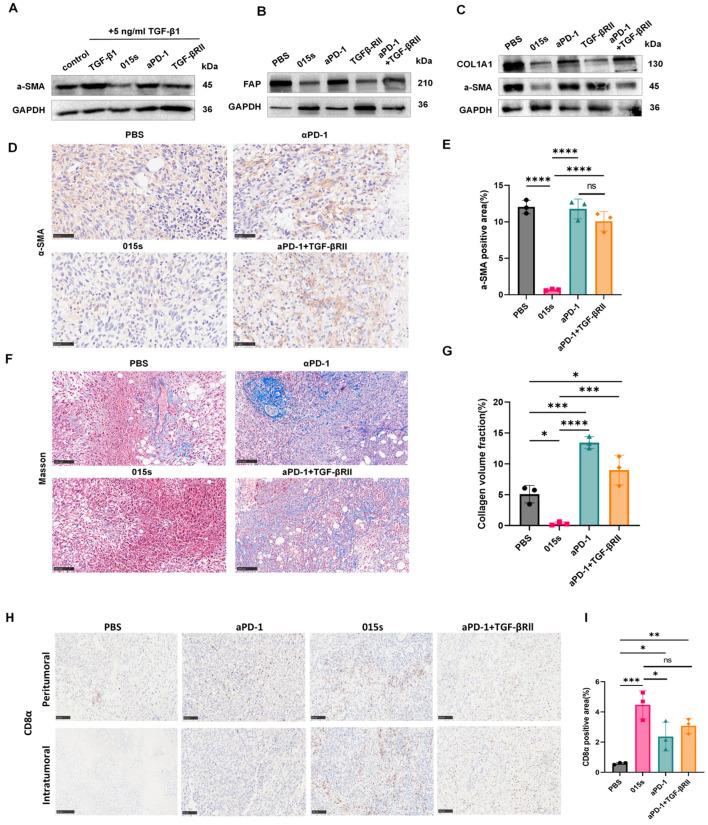 https://cdn.ncbi.nlm.nih.gov/pmc/blobs/c711/12347602/82db61869e30/ijms-26-07567-g005.jpg