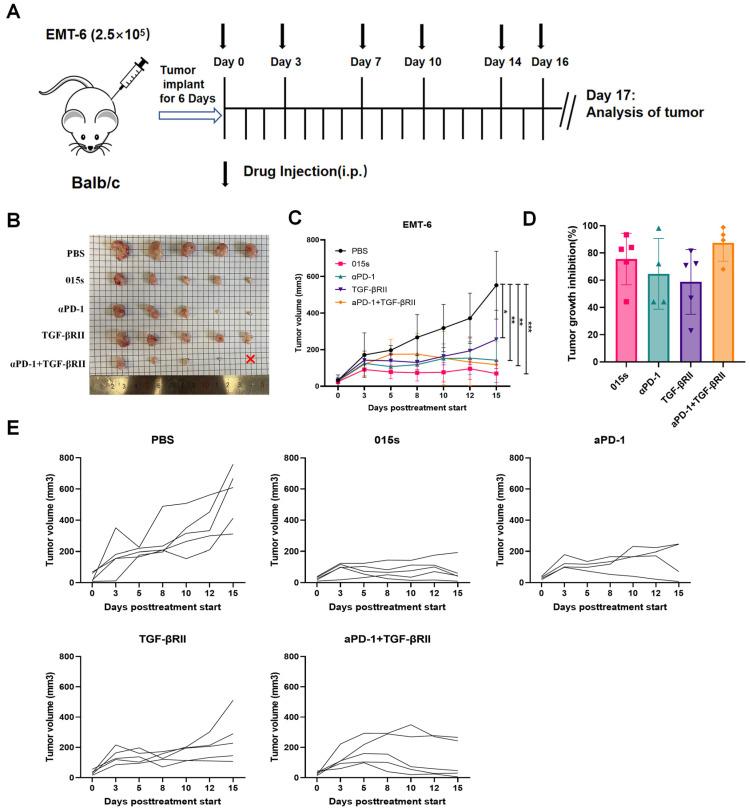 https://cdn.ncbi.nlm.nih.gov/pmc/blobs/c711/12347602/96f9c5d2880f/ijms-26-07567-g003.jpg