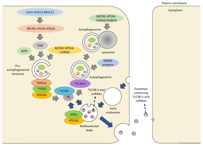 https://cdn.ncbi.nlm.nih.gov/pmc/blobs/c717/12059068/470e0586b376/41598_2025_703_Fig7_HTML.jpg