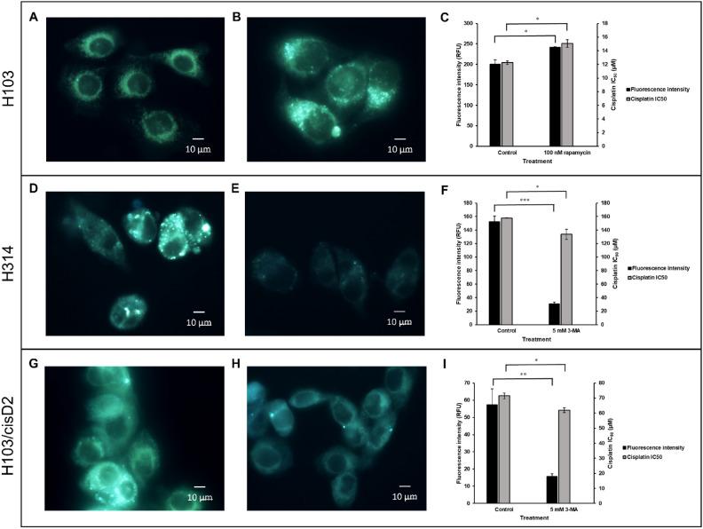 https://cdn.ncbi.nlm.nih.gov/pmc/blobs/c717/12059068/5c0c7cca3c6f/41598_2025_703_Fig3_HTML.jpg