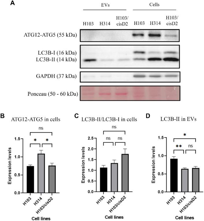 https://cdn.ncbi.nlm.nih.gov/pmc/blobs/c717/12059068/79d4b4bb7b85/41598_2025_703_Fig6_HTML.jpg
