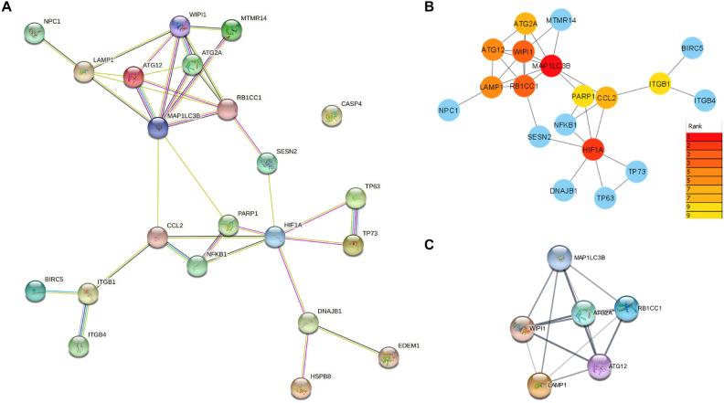 https://cdn.ncbi.nlm.nih.gov/pmc/blobs/c717/12059068/f9d13e1a9a41/41598_2025_703_Fig2_HTML.jpg