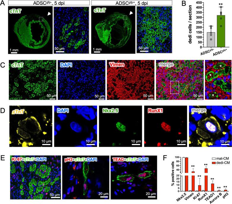 https://cdn.ncbi.nlm.nih.gov/pmc/blobs/c718/8802508/4a0275b17467/13287_2021_2675_Fig4_HTML.jpg