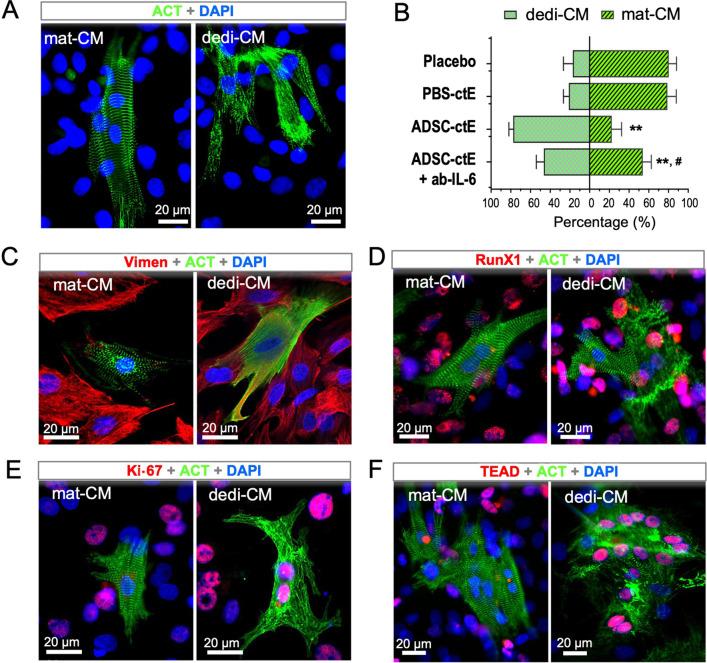 https://cdn.ncbi.nlm.nih.gov/pmc/blobs/c718/8802508/781dce2dedcc/13287_2021_2675_Fig5_HTML.jpg