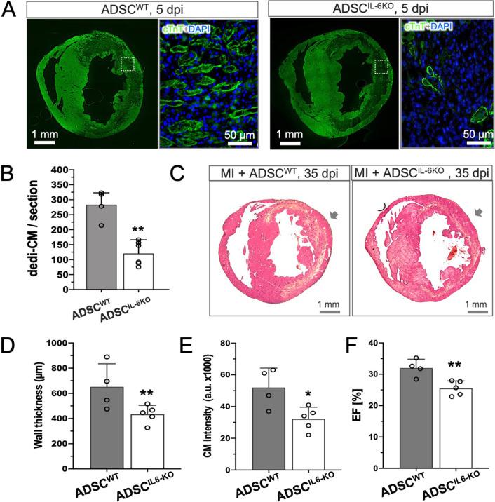 https://cdn.ncbi.nlm.nih.gov/pmc/blobs/c718/8802508/b7c6148dbefa/13287_2021_2675_Fig6_HTML.jpg