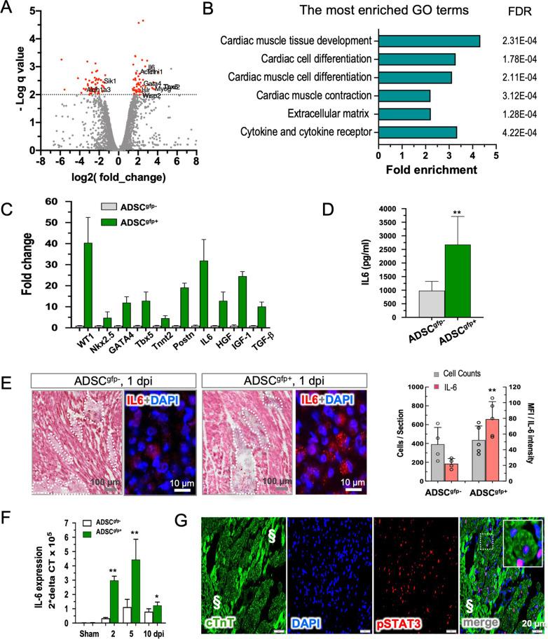 https://cdn.ncbi.nlm.nih.gov/pmc/blobs/c718/8802508/d31034ef6f7a/13287_2021_2675_Fig3_HTML.jpg