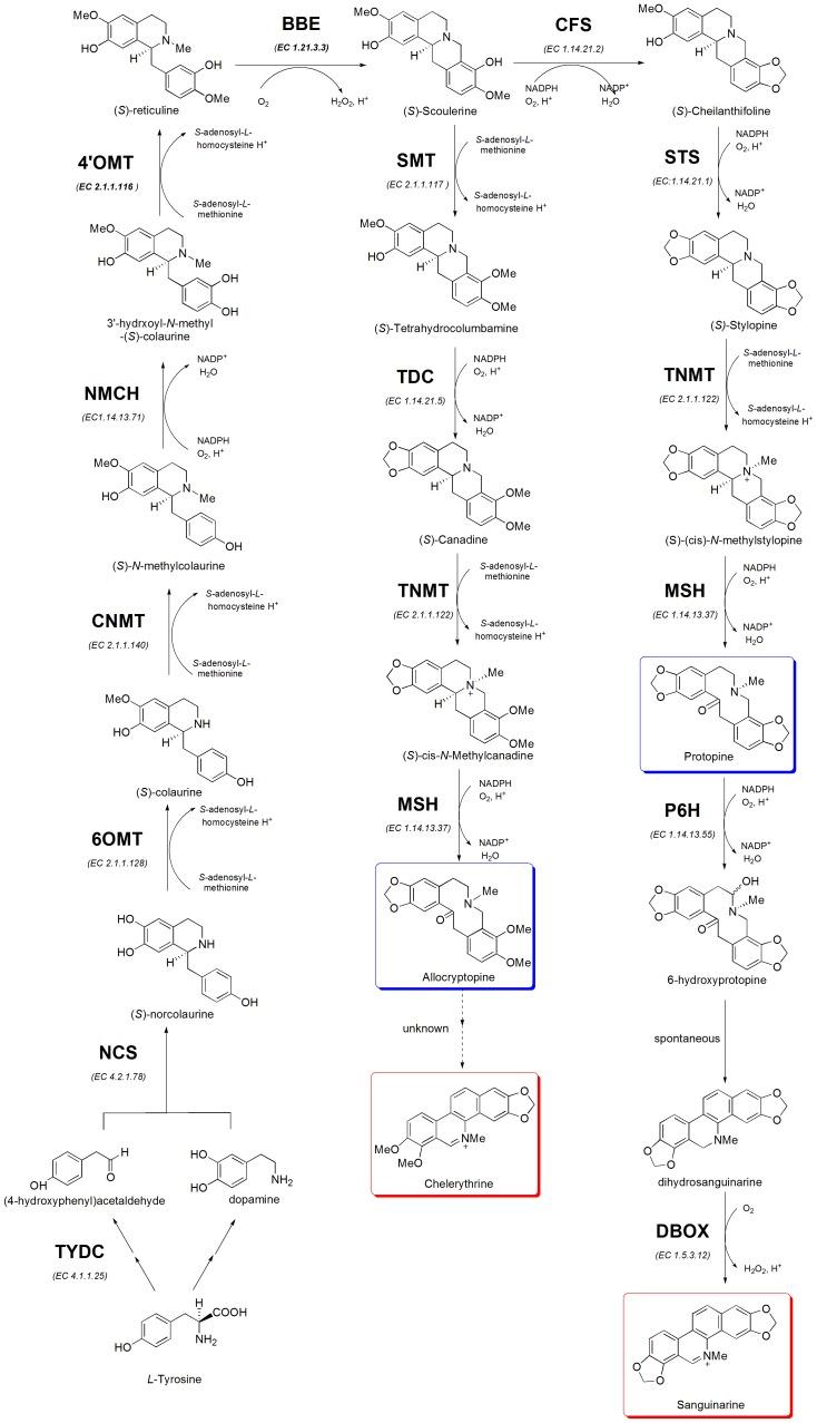 https://cdn.ncbi.nlm.nih.gov/pmc/blobs/c719/3541140/45d2fd1234f8/pone.0053409.g001.jpg