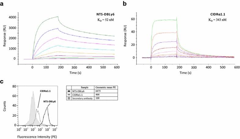 https://cdn.ncbi.nlm.nih.gov/pmc/blobs/c719/4672576/18e8b81b659a/12936_2015_1008_Fig2_HTML.jpg