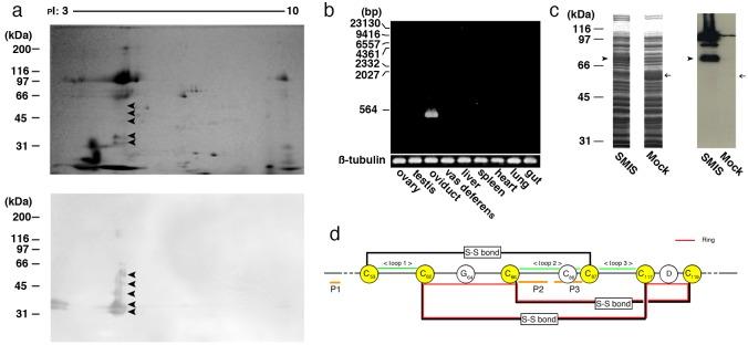 https://cdn.ncbi.nlm.nih.gov/pmc/blobs/c719/5007030/f65ce71cb06f/pone.0160445.g001.jpg