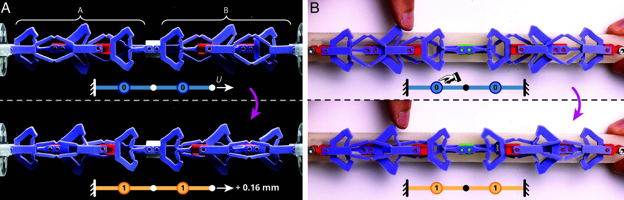 https://cdn.ncbi.nlm.nih.gov/pmc/blobs/c71a/12036990/6a8e58834c33/pnas.2423301122fig06.jpg