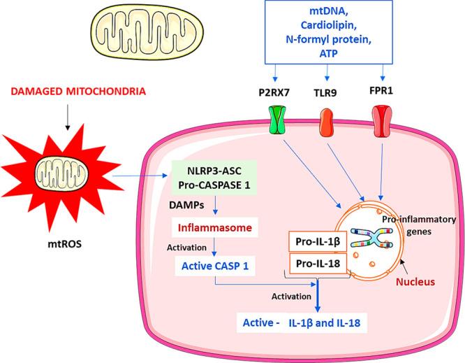 https://cdn.ncbi.nlm.nih.gov/pmc/blobs/c71b/9453976/6ba954bdfd42/ao2c02675_0002.jpg