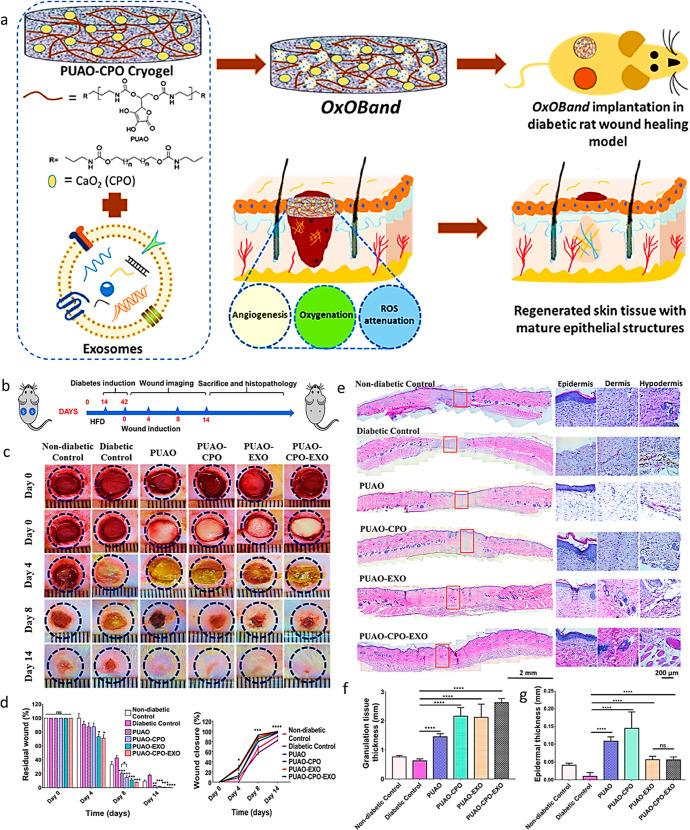 https://cdn.ncbi.nlm.nih.gov/pmc/blobs/c71b/9453976/b36f4083aa4c/ao2c02675_0007.jpg