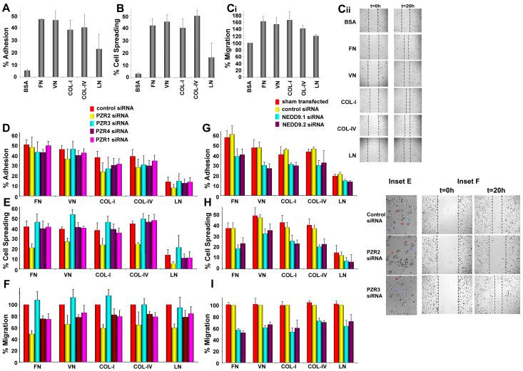 https://cdn.ncbi.nlm.nih.gov/pmc/blobs/c71c/7290418/943071847c23/cells-09-01100-g002.jpg