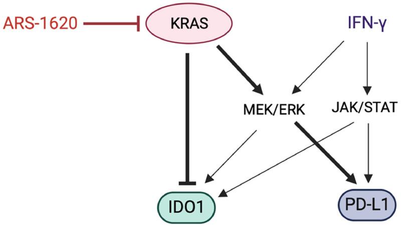 https://cdn.ncbi.nlm.nih.gov/pmc/blobs/c71d/11615605/66e824ccb229/gr6.jpg