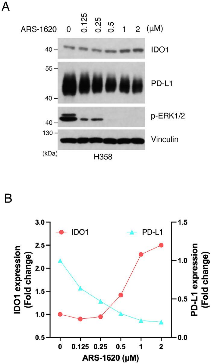 https://cdn.ncbi.nlm.nih.gov/pmc/blobs/c71d/11615605/dfc308d84907/gr3.jpg