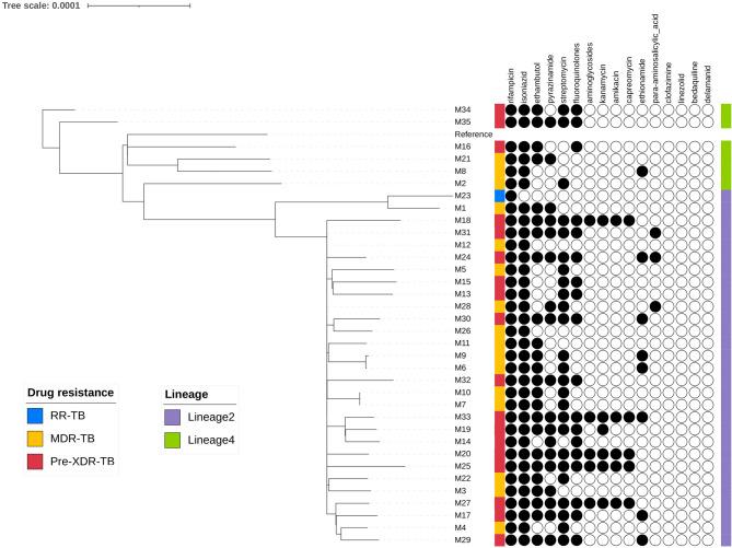 https://cdn.ncbi.nlm.nih.gov/pmc/blobs/c71e/12400691/130f0d7f795d/12941_2025_816_Fig1_HTML.jpg