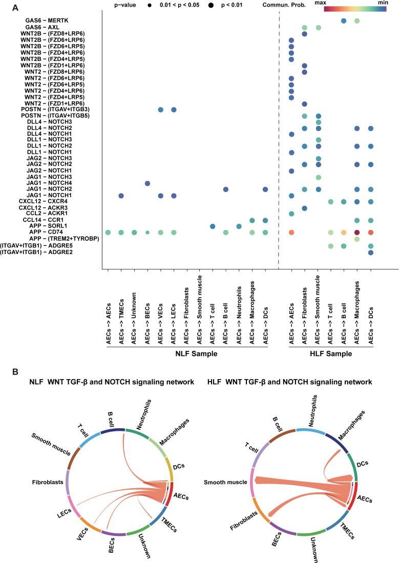https://cdn.ncbi.nlm.nih.gov/pmc/blobs/c71f/12119296/16fb0f9de1fa/fimmu-16-1569296-g012.jpg