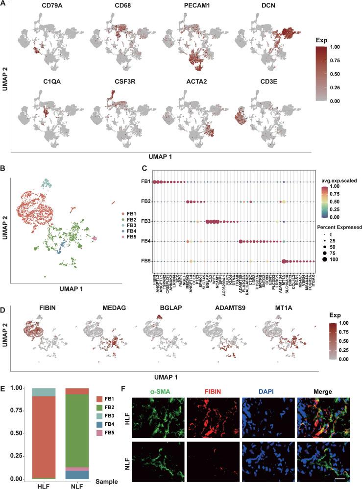 https://cdn.ncbi.nlm.nih.gov/pmc/blobs/c71f/12119296/1f4abcf0d509/fimmu-16-1569296-g002.jpg