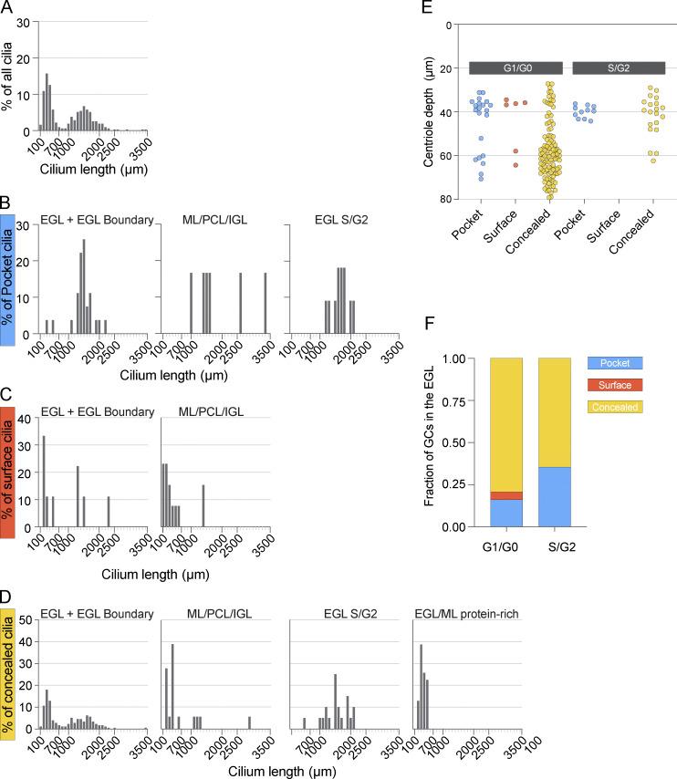 https://cdn.ncbi.nlm.nih.gov/pmc/blobs/c723/11320830/b375b0df23c8/JCB_202404038_FigS1.jpg