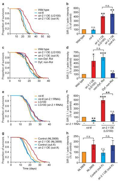 https://cdn.ncbi.nlm.nih.gov/pmc/blobs/c723/3188402/1a62a108a7ef/ukmss-36015-f0001.jpg