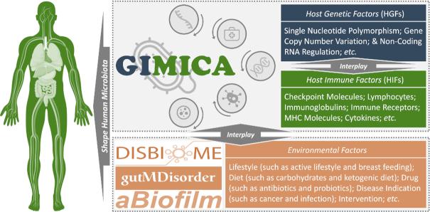 https://cdn.ncbi.nlm.nih.gov/pmc/blobs/c723/7779047/b19208c18b09/gkaa851fig1.jpg