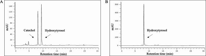 https://cdn.ncbi.nlm.nih.gov/pmc/blobs/c727/11696566/2ed4bc4d7706/41598_2024_84624_Fig2_HTML.jpg