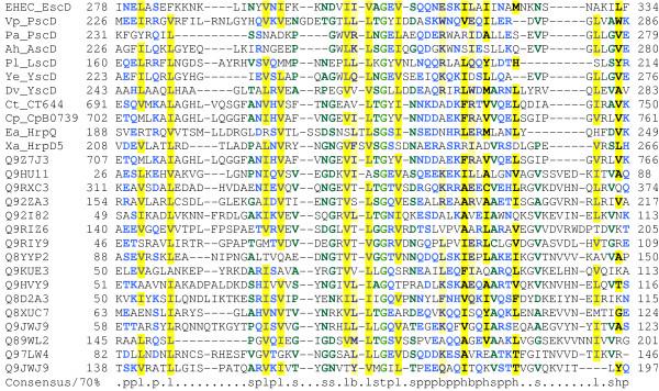 https://cdn.ncbi.nlm.nih.gov/pmc/blobs/c728/1084347/9cb9eba69f3a/1471-2180-5-9-3.jpg