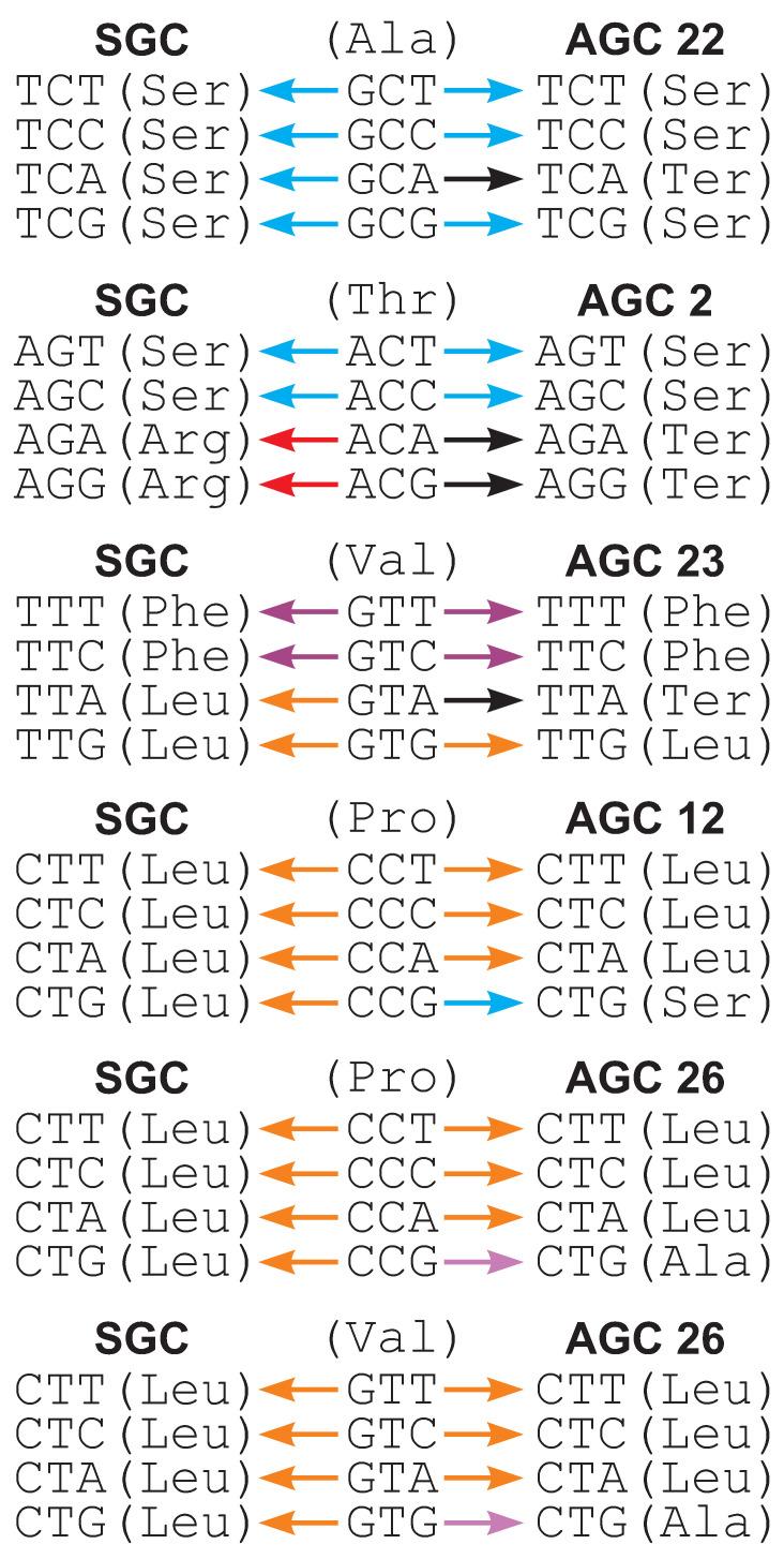 https://cdn.ncbi.nlm.nih.gov/pmc/blobs/c72a/9866869/4864fcb28700/ijms-24-01185-g003.jpg
