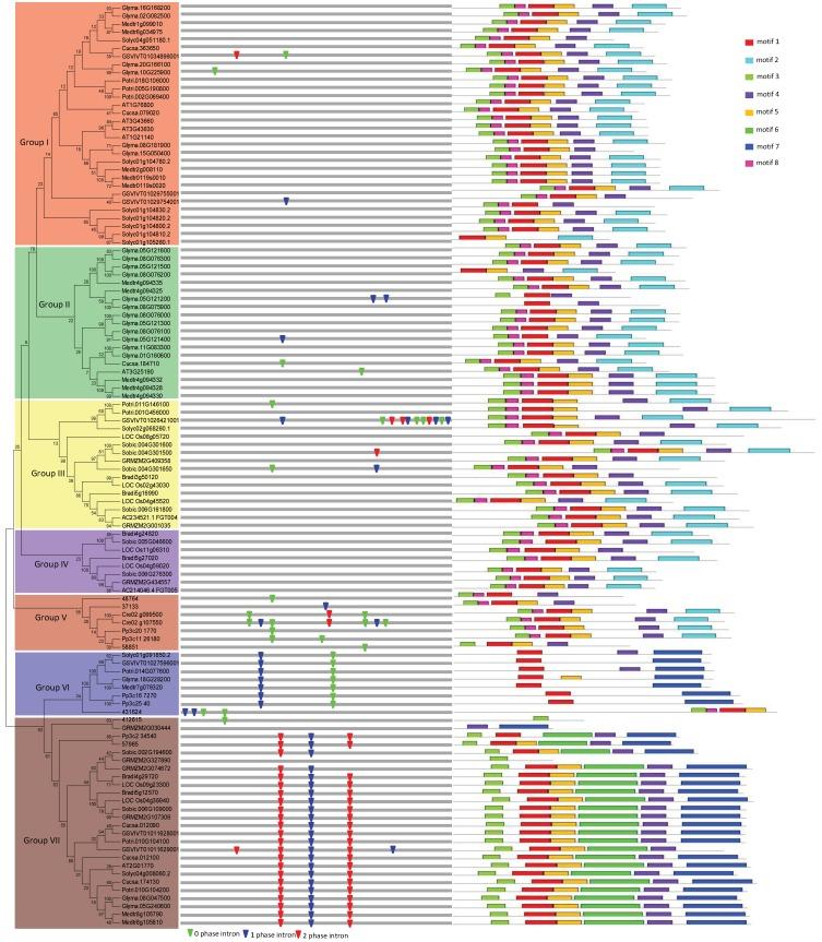 https://cdn.ncbi.nlm.nih.gov/pmc/blobs/c72b/6409731/530c779479d3/genes-10-00144-g001.jpg