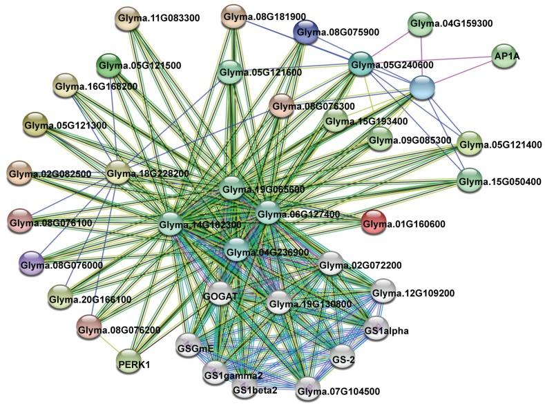 https://cdn.ncbi.nlm.nih.gov/pmc/blobs/c72b/6409731/de4ac7c9b29e/genes-10-00144-g005.jpg