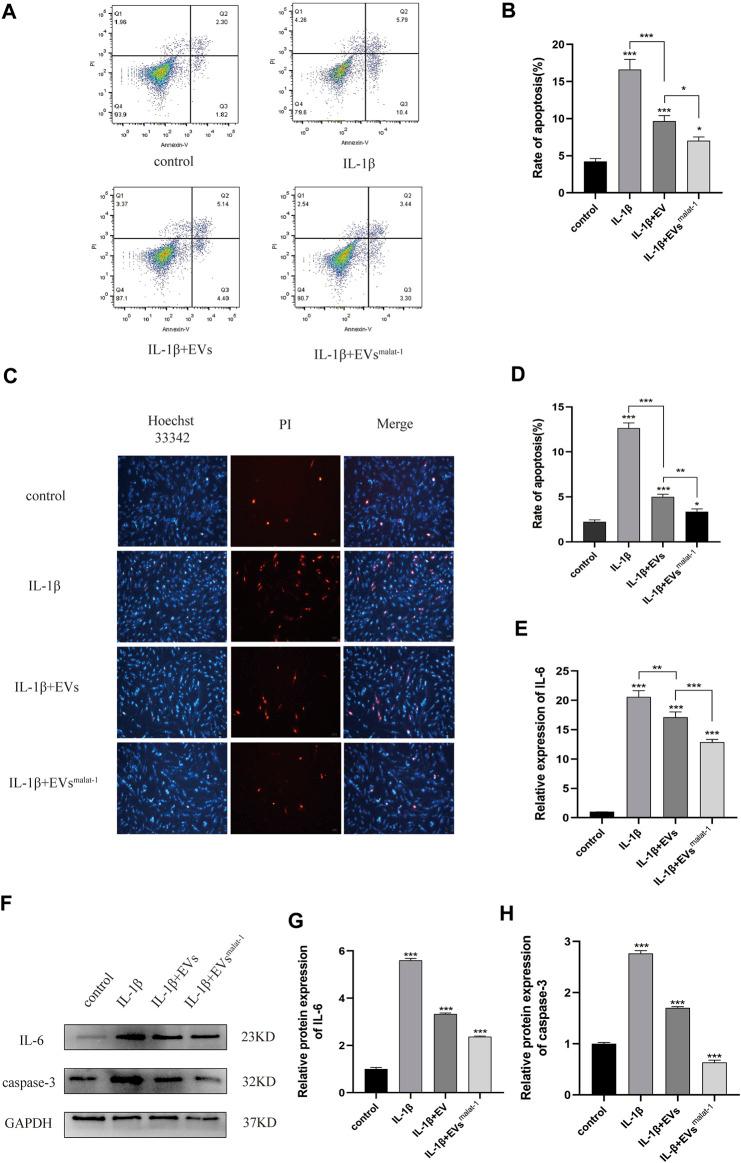 https://cdn.ncbi.nlm.nih.gov/pmc/blobs/c72b/8715093/77ee4272ee05/fbioe-09-772002-g004.jpg