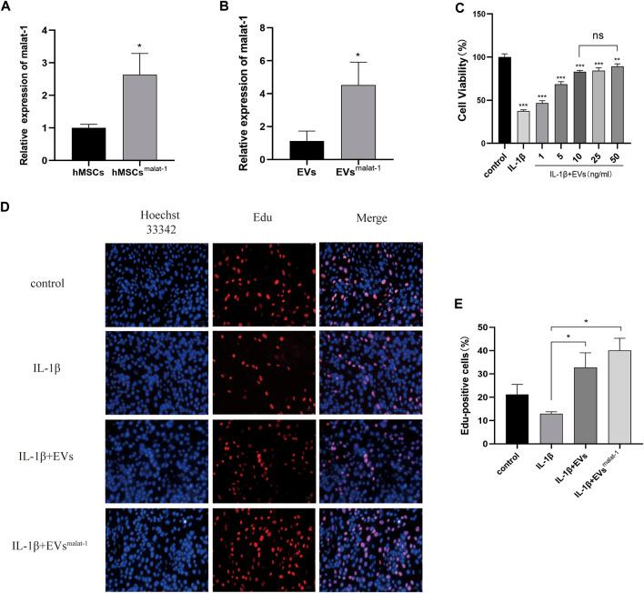 https://cdn.ncbi.nlm.nih.gov/pmc/blobs/c72b/8715093/7b0f5855d438/fbioe-09-772002-g003.jpg