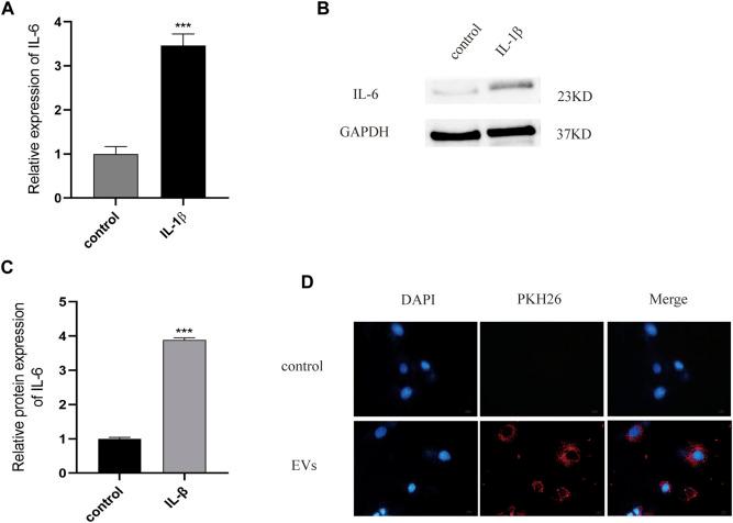 https://cdn.ncbi.nlm.nih.gov/pmc/blobs/c72b/8715093/8448621ee231/fbioe-09-772002-g002.jpg