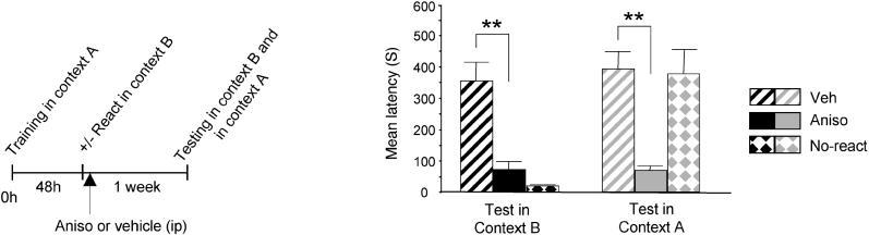 https://cdn.ncbi.nlm.nih.gov/pmc/blobs/c72c/1201288/13da7354c874/pbio.0030293.g002.jpg
