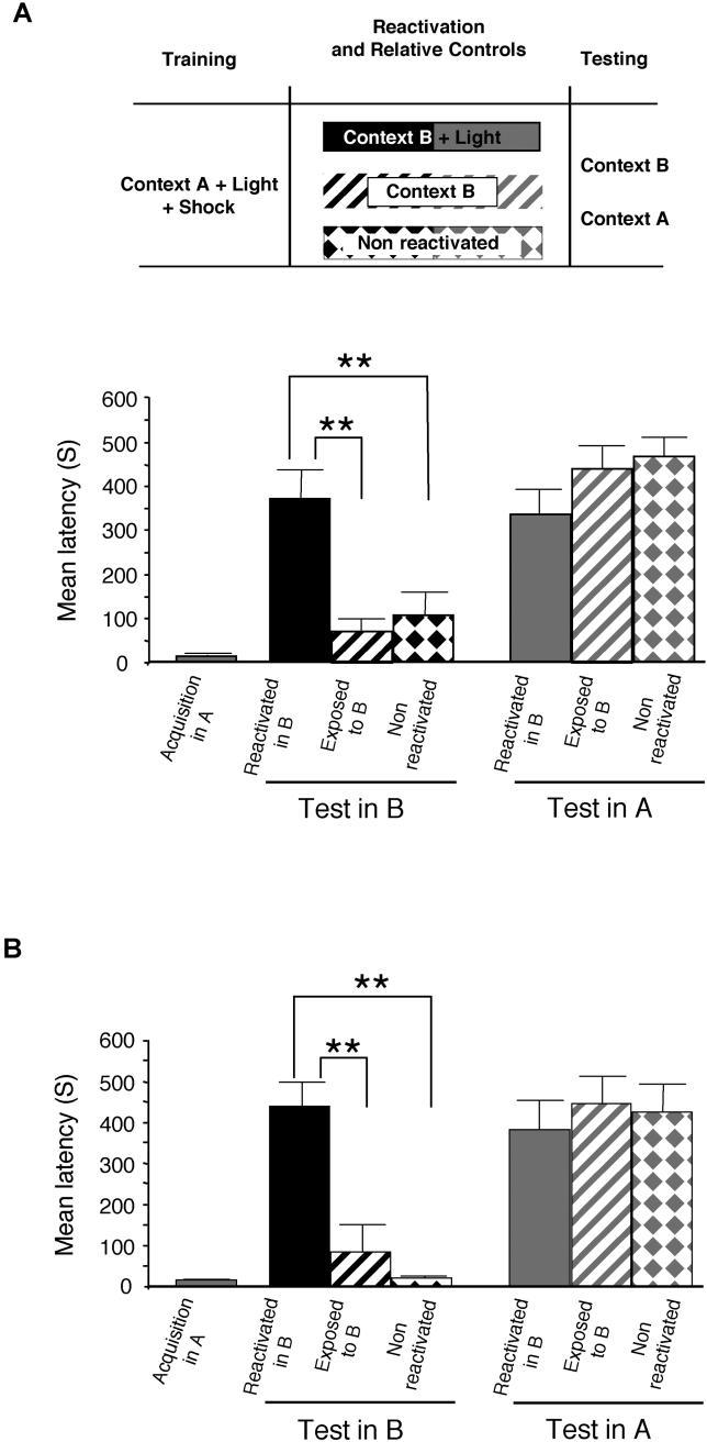 https://cdn.ncbi.nlm.nih.gov/pmc/blobs/c72c/1201288/66b78d4813b2/pbio.0030293.g001.jpg