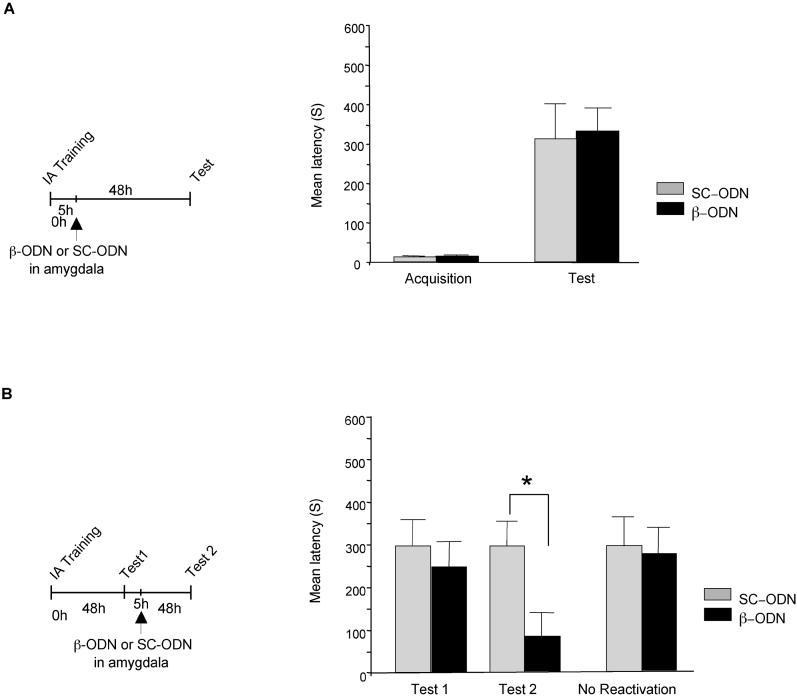 https://cdn.ncbi.nlm.nih.gov/pmc/blobs/c72c/1201288/d338177bdfaa/pbio.0030293.g003.jpg