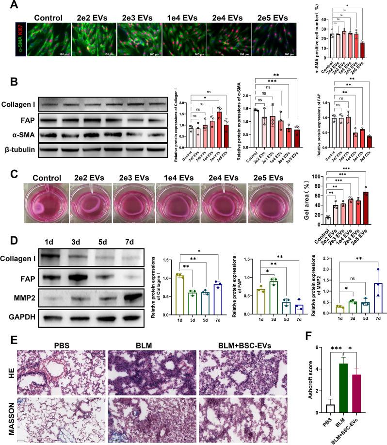 https://cdn.ncbi.nlm.nih.gov/pmc/blobs/c72d/11921531/30f2cb84c8c4/13287_2025_4268_Fig6_HTML.jpg