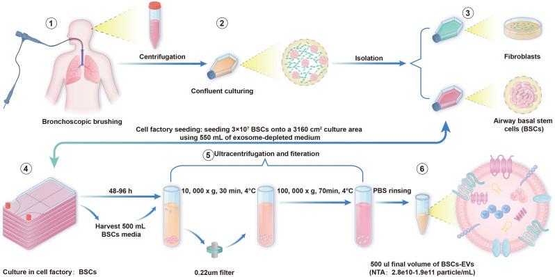 https://cdn.ncbi.nlm.nih.gov/pmc/blobs/c72d/11921531/cf372f671964/13287_2025_4268_Fig1_HTML.jpg