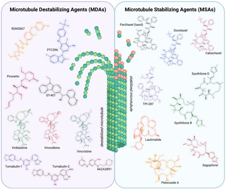 https://cdn.ncbi.nlm.nih.gov/pmc/blobs/c736/12347508/dcd3e067acd7/ijms-26-07652-g003.jpg