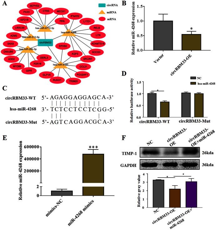 https://cdn.ncbi.nlm.nih.gov/pmc/blobs/c736/8603816/350e57522193/peerj-09-12232-g005.jpg