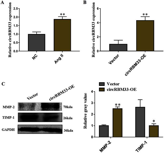 https://cdn.ncbi.nlm.nih.gov/pmc/blobs/c736/8603816/64974adc11c1/peerj-09-12232-g004.jpg